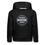 Nordsee Beaches - Kinder Premium Hoodie - Anthrazit