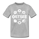 Ostsee Symbole - Kinder Premium T-Shirt - Grau meliert